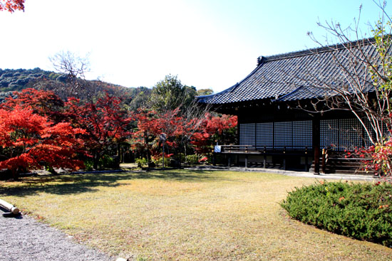 勧修寺 紅葉の始まり_e0048413_2128215.jpg