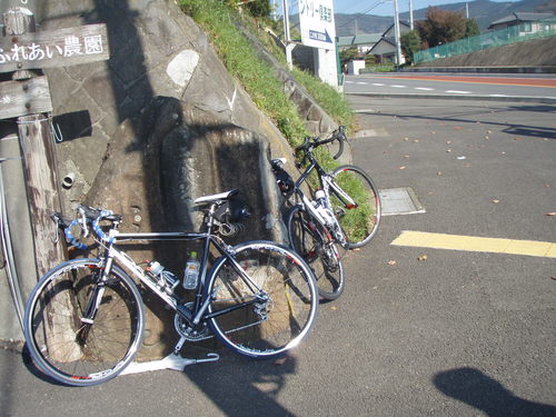 f0201014_1329649.jpg