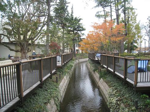 c0166916_21543917.jpg