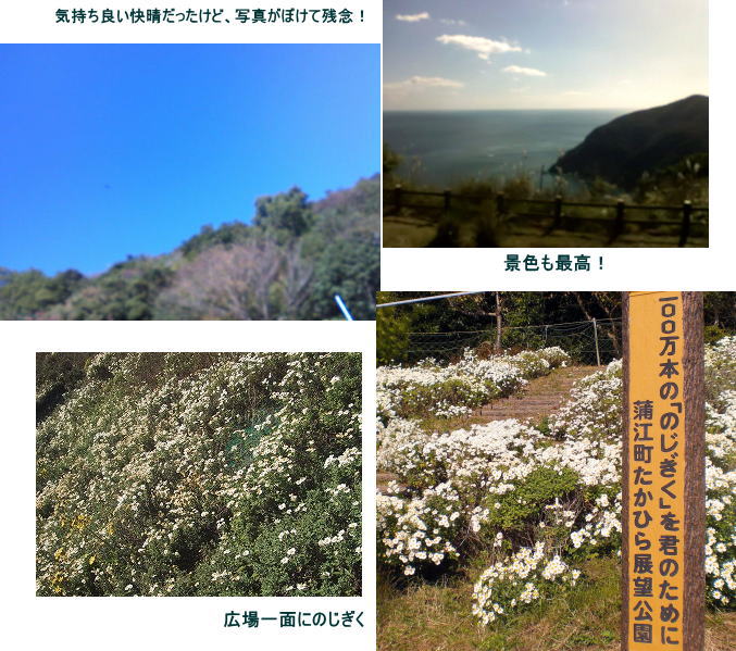 d0070316_1435861.jpg