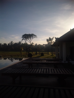 d0149617_84549.jpg