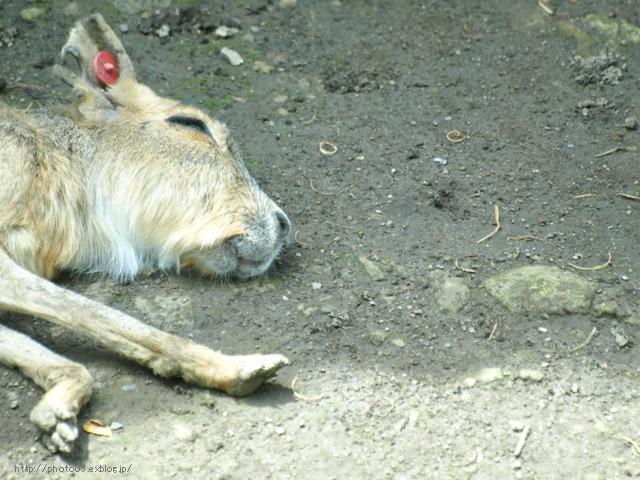 f0201226_14174632.jpg