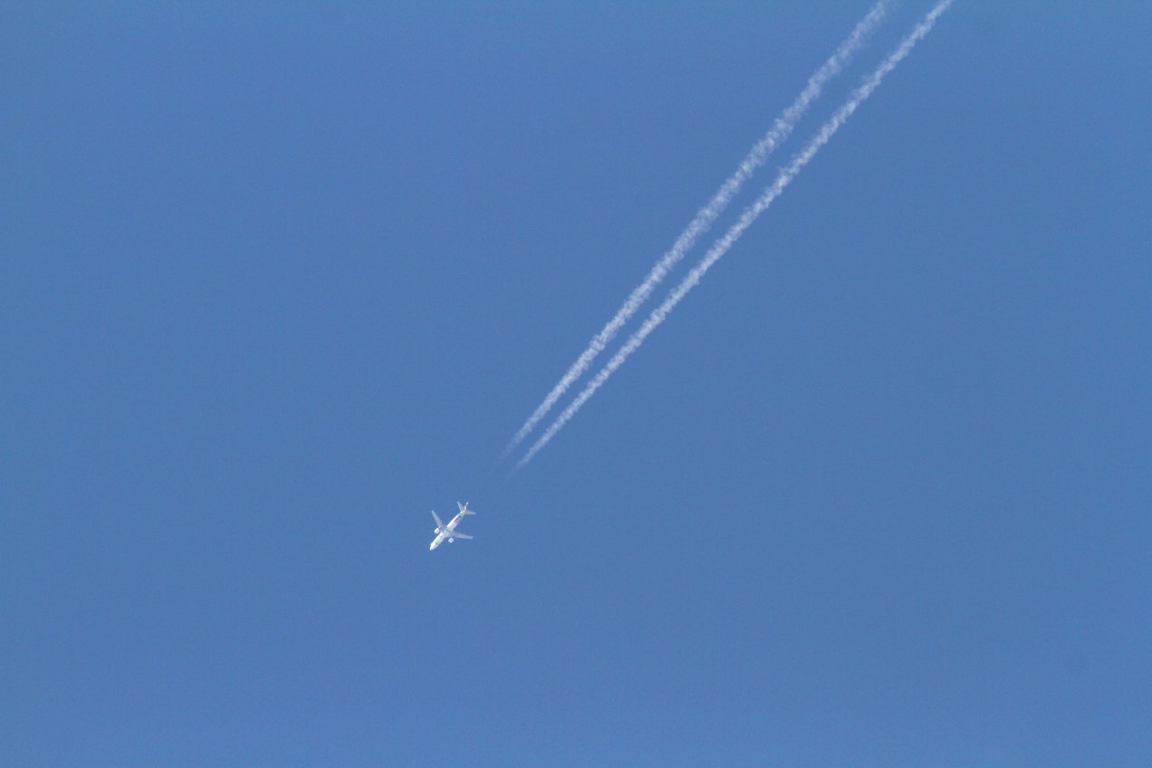 c0172139_10584463.jpg