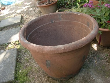 e0110940_11463728.jpg