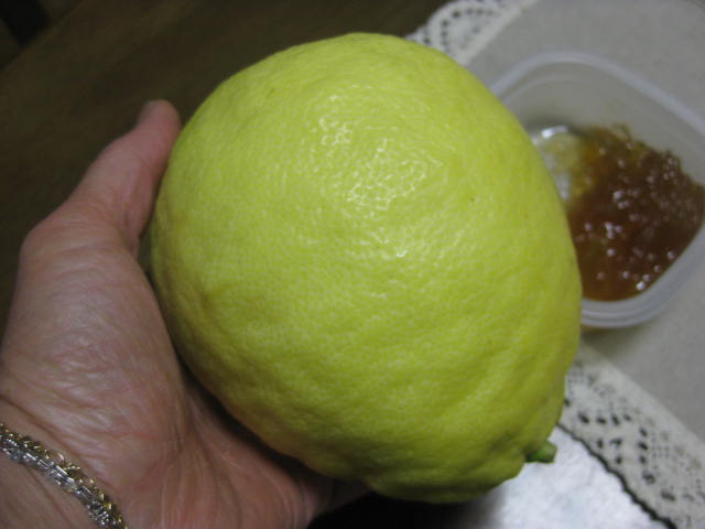 b0123044_2029471.jpg
