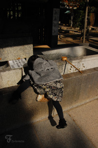 撮影日和。_d0227246_1755444.jpg