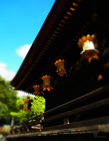 撮影日和。_d0227246_19101670.jpg