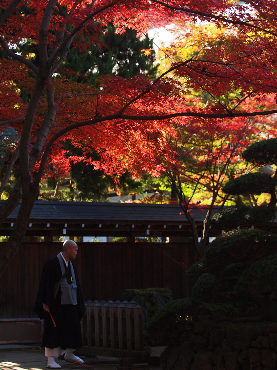 平林寺-1　　　092）_c0068050_16335085.jpg