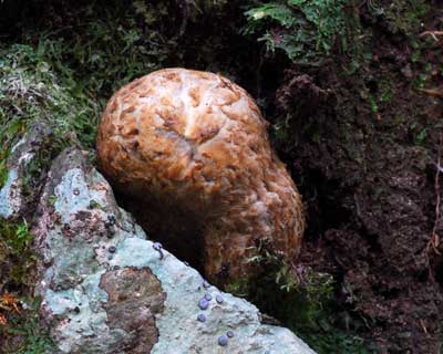 e0035757_17272927.jpg