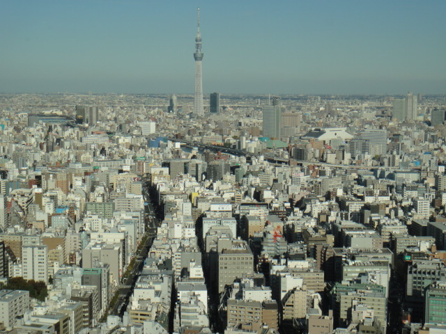 f0036857_21313265.jpg