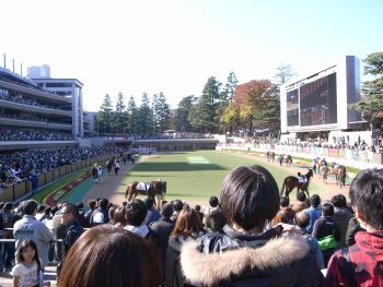 東京競馬場へ_a0007462_2055223.jpg