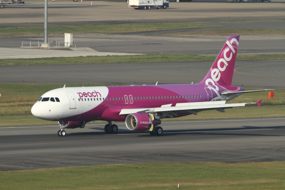 a0198564_121378.jpg