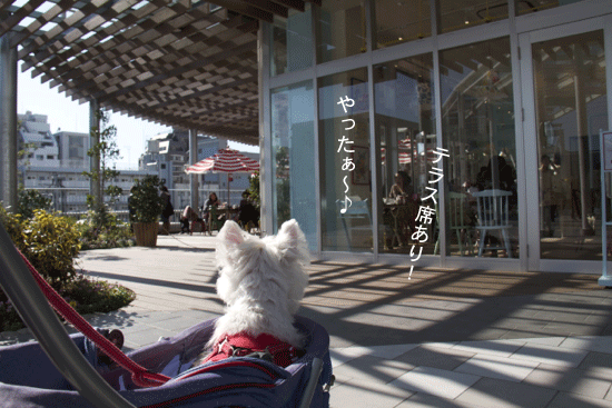 b0130271_132184.gif