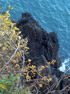 f0083977_9101184.jpg