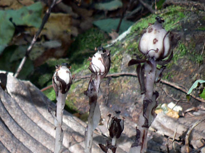 f0083977_9115741.jpg