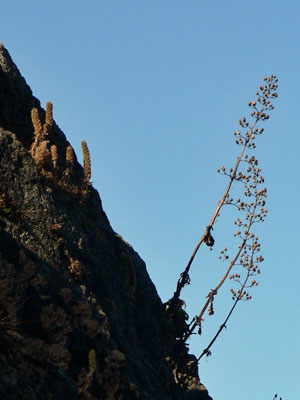 f0083977_9145330.jpg