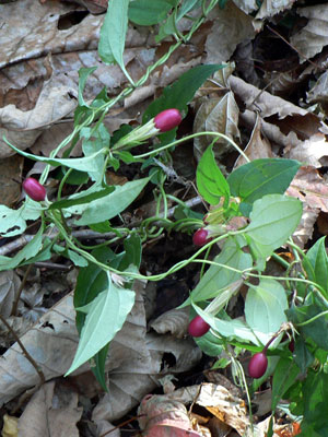 f0083977_9155249.jpg
