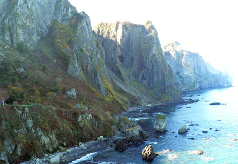 f0083977_926156.jpg