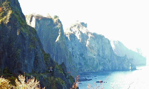 f0083977_933175.jpg