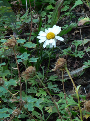 f0083977_985141.jpg