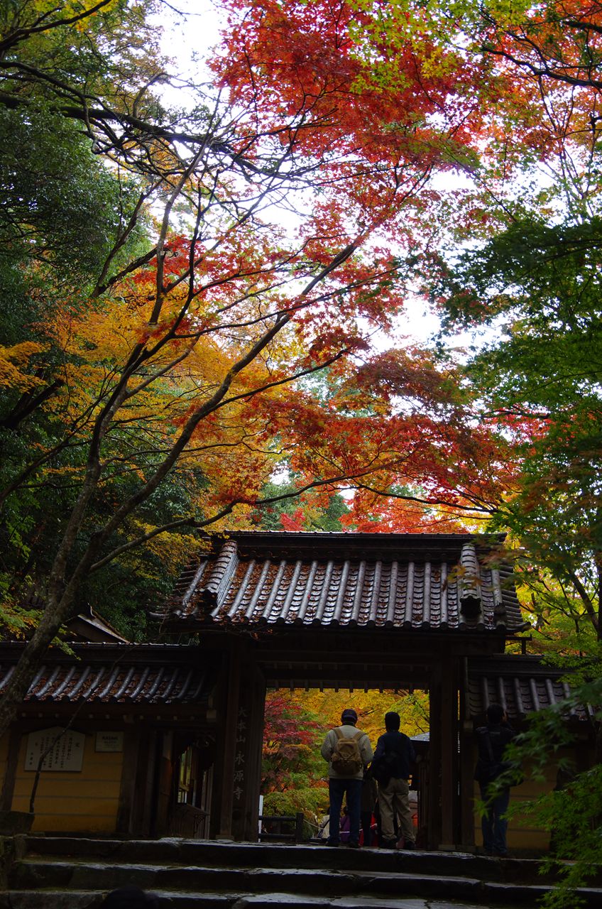 ２０１１永源寺紅葉４_f0034583_1820396.jpg