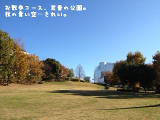 ぽ。_a0181890_053759.jpg