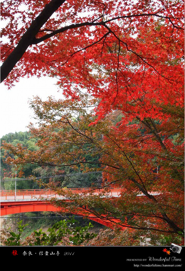 奈良・信貴山寺　☆　紅葉　2011_a0108795_22571932.jpg