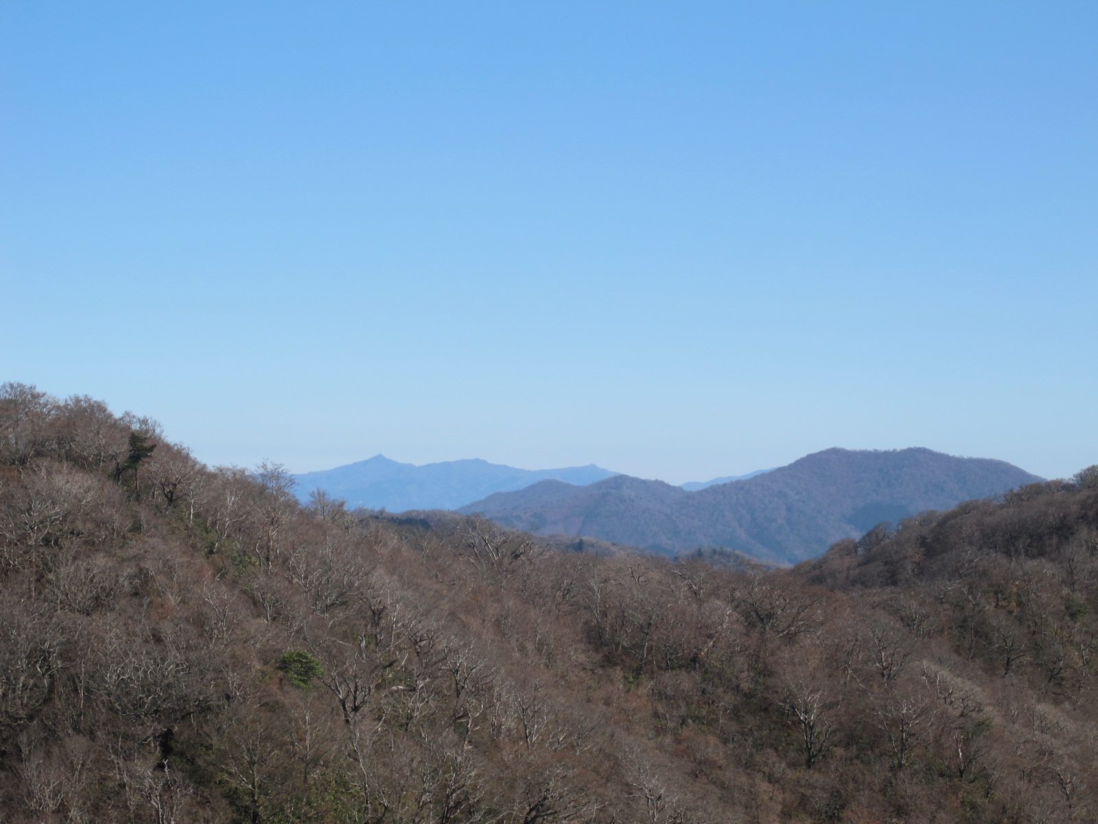 向霧立山地（九州中央山地）の天空尾根を歩く　烏帽子岳～五勇山～小国見岳～国見岳　2011・11・22_a0166196_18554216.jpg