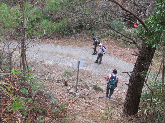 向霧立山地（九州中央山地）の天空尾根を歩く　烏帽子岳～五勇山～小国見岳～国見岳　2011・11・22_a0166196_1991471.jpg