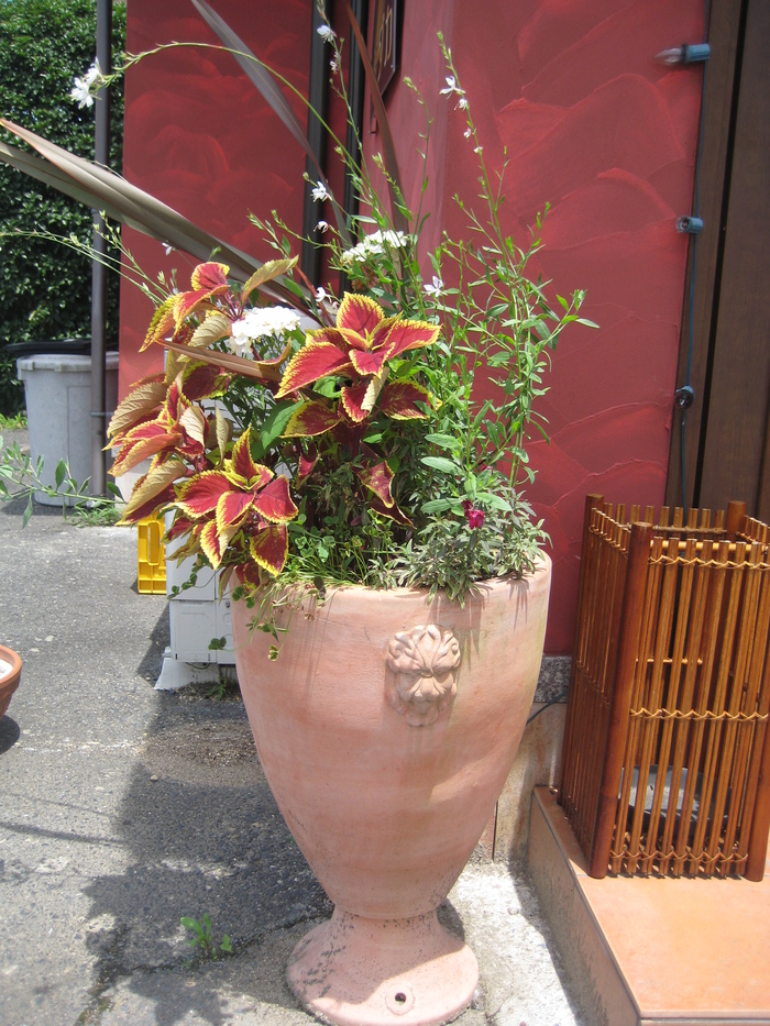 2011.11インド料理店 MODAKA_a0233896_14384626.jpg