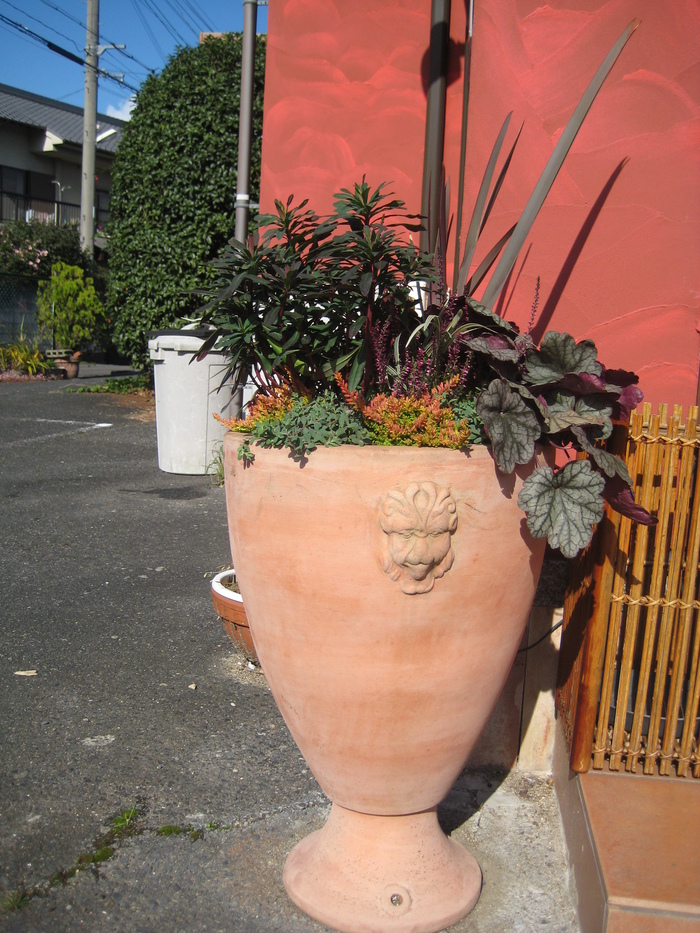 2011.11インド料理店 MODAKA_a0233896_14515912.jpg