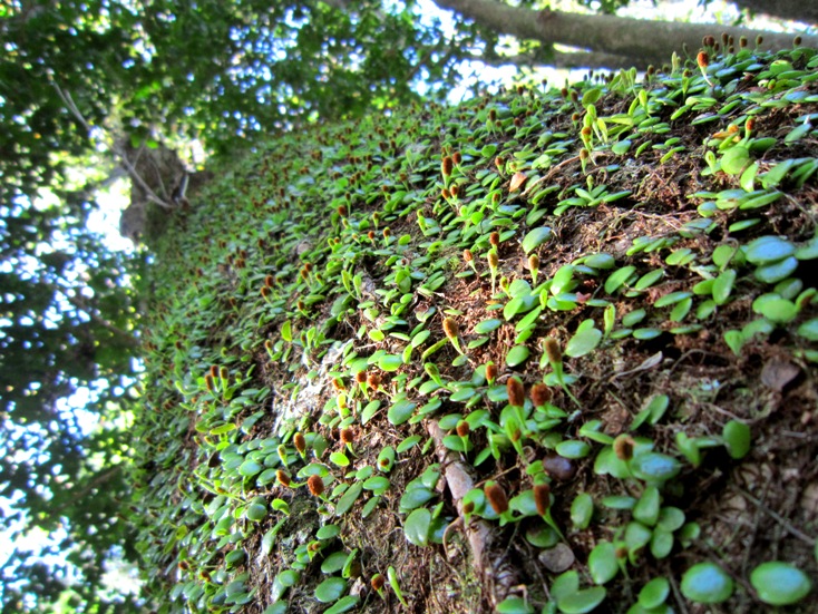 b0192199_02634.jpg
