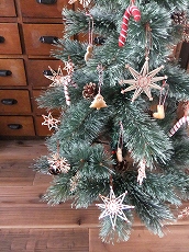 c0151903_8272862.jpg