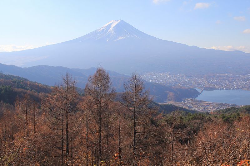 西川林道_a0188405_9124144.jpg