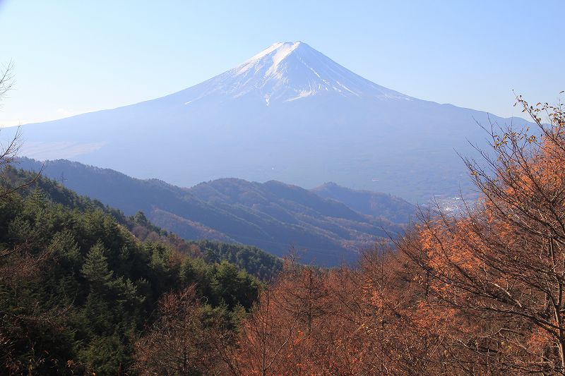 西川林道_a0188405_9133620.jpg