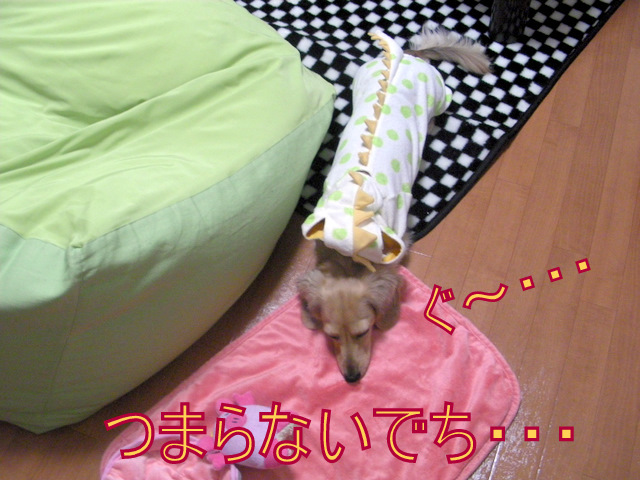 f0224506_20423658.jpg