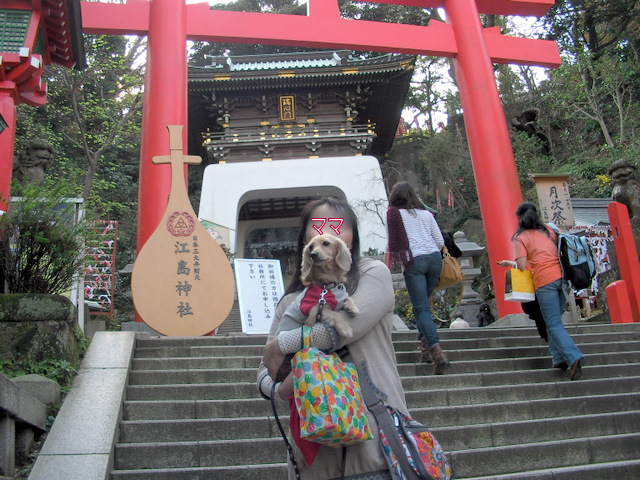 f0224506_2141124.jpg