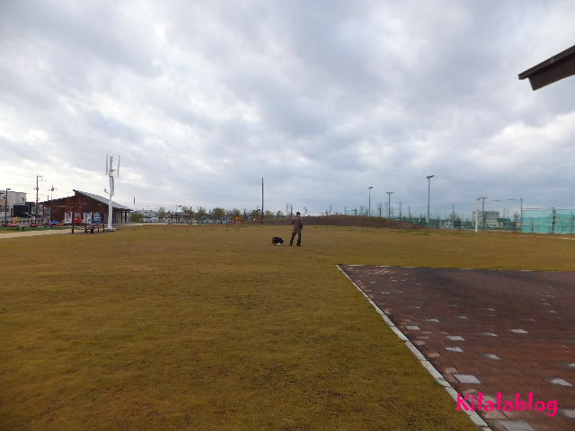 e0130008_17555822.jpg