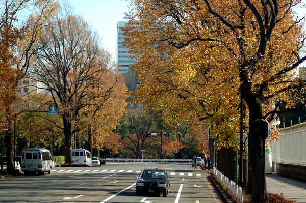 a0017909_04126.jpg