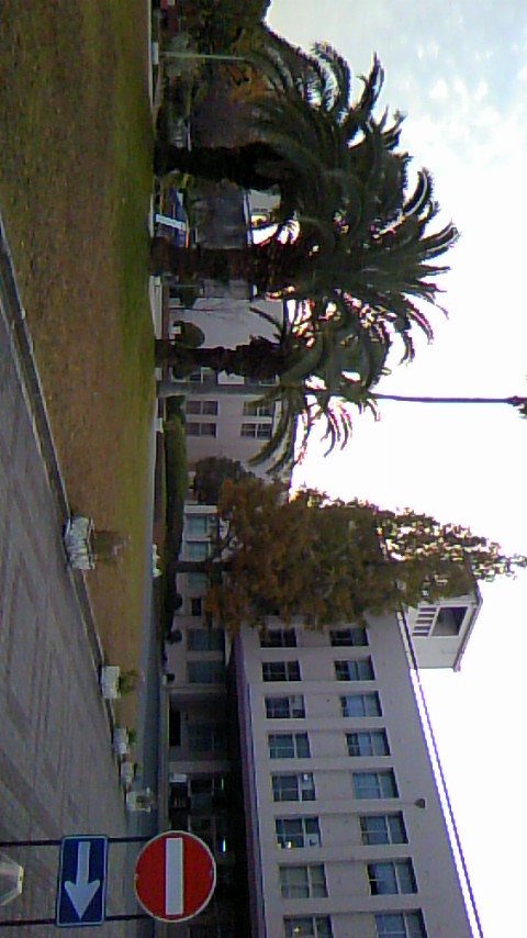 b0187210_17382455.jpg