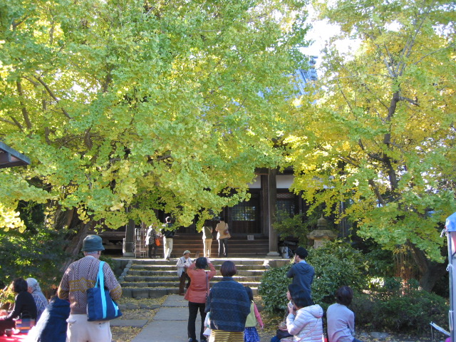 「黄葉まつり 111127」_a0120513_20325729.jpg