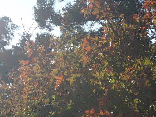 f0201014_1304662.jpg