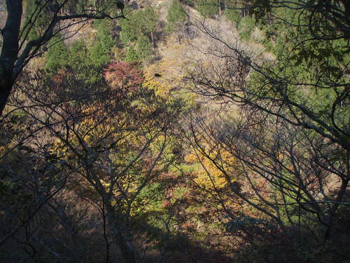 f0201014_1322011.jpg