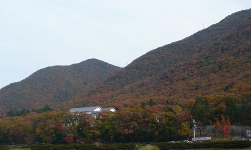 f0223914_21443969.jpg