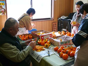ころ柿作りと自然薯収穫体験 in 丸森町 ☆2日目_e0097615_14112493.jpg