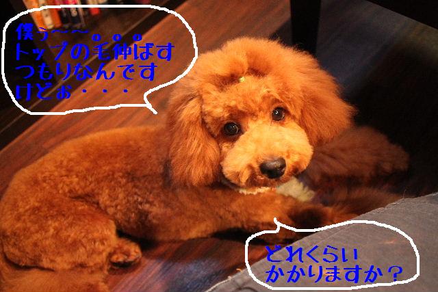 ついてる事にしとこ～！！_b0130018_851742.jpg