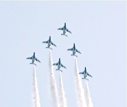  ２０１１年岐阜基地航空祭_c0225420_17415011.jpg