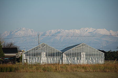 b0178923_1626206.jpg