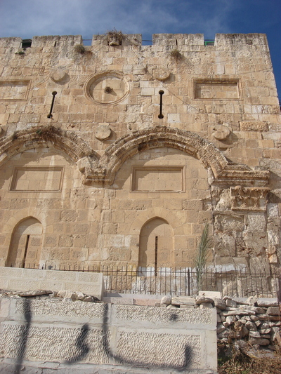 b0164428_23415579.jpg