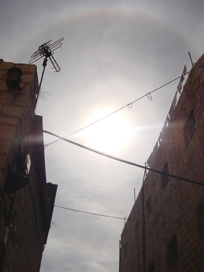 b0164428_23431488.jpg